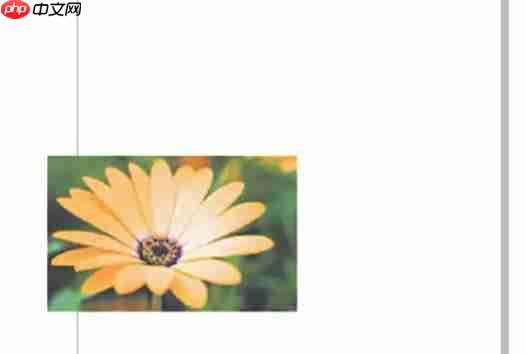 coreldraw怎么自动调整位图-coreldraw自动调整位图的方法