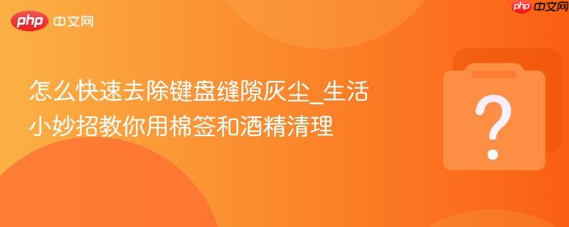 怎么快速去除键盘缝隙灰尘_生活小妙招教你用棉签和酒精清理