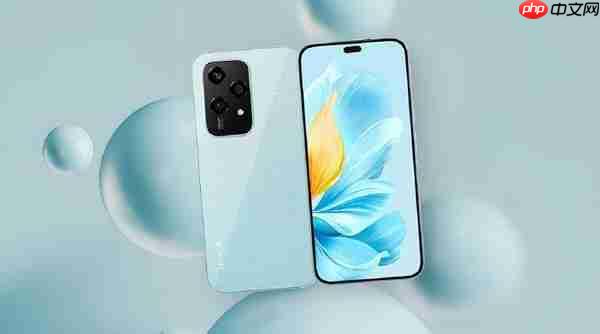 王班:荣耀手机中东非洲地区2025年发货量超1000万台