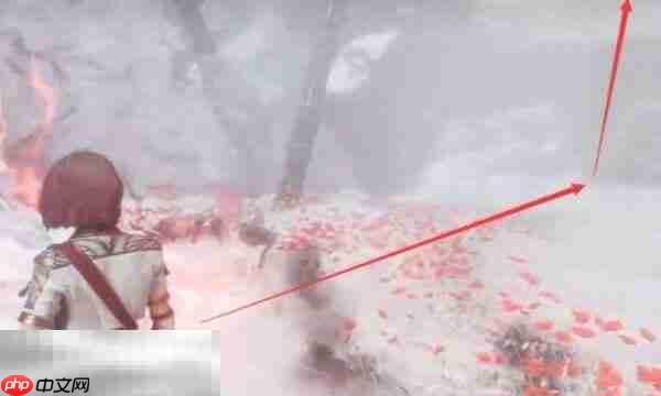 光与影33号远征队梅洛什:商人梅洛什简介