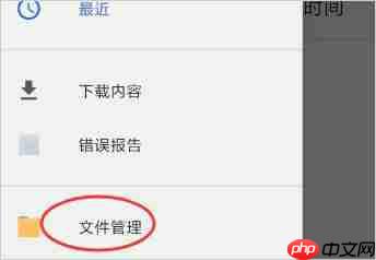 magisk怎么添加本地模块