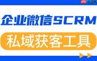 2025 实测 7 款企微 SCRM：微伴自动拉群+AI 组合，私域获客效率狂飙 5 倍