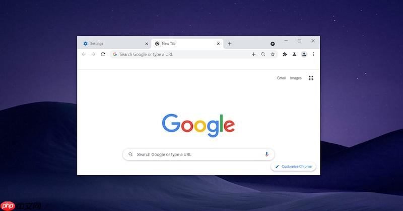 google浏览器官网网页版主站 google浏览器官方入口直通车