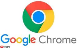 Chrome怎样管理网站权限_控制摄像头访问【权限管理】