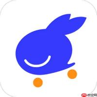 兔喜生活怎样导出交易明细_兔喜生活账单导出与格式选择【解析】