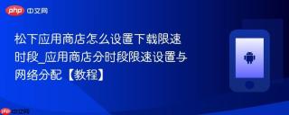 松下应用商店怎么设置下载限速时段_应用商店分时段限速设置与网络分配【教程】