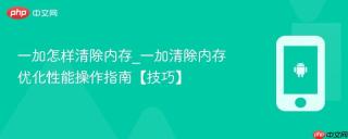 一加怎样清除内存_一加清除内存优化性能操作指南【技巧】