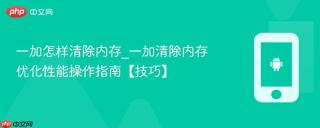 一加怎样清除内存_一加清除内存优化性能操作指南【技巧】