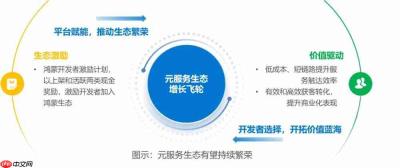 服务分发创新实践:鸿蒙元服务研究报告