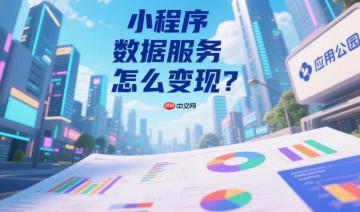 小程序数据服务怎么变现?