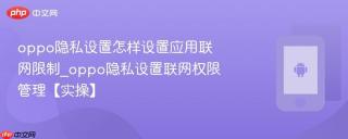 oppo隐私设置怎样设置应用联网限制_oppo隐私设置联网权限管理【实操】