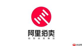 阿里拍卖平台首页入口 阿里资产官网服务导航链接