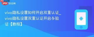 vivo隐私设置如何开启双重认证_vivo隐私设置双重认证开启与验证【教程】