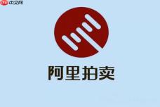 阿里拍卖平台官网如何查看竞价记录_阿里拍卖平台官网竞价过程查看与分析【步骤】