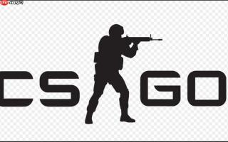 前沿CSGO开箱网指南 CSGO开箱网站排行