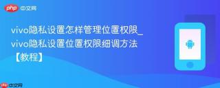 vivo隐私设置怎样管理位置权限_vivo隐私设置位置权限细调方法【教程】