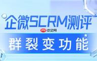 2025 企业微信 SCRM 实测：群裂变成私域增长关键，这款工具转化率翻倍