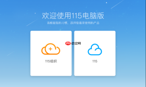 115网盘最新官方主页入口_115网盘官网快速直达平台链接