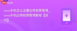 vivo手机怎么设置应用权限管理_vivo手机应用权限管理教程【技巧】