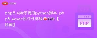 php8.4如何调用python脚本_php8.4exec执行外部程序方法【指南】