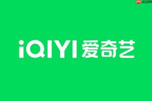 爱奇艺账户安全怎么设置_爱奇艺账户密码与安全中心设置教程