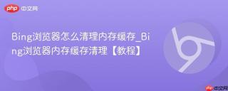 Bing浏览器怎么清理内存缓存_Bing浏览器内存缓存清理【教程】