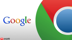 Google浏览器下载速度慢怎么解决 Google浏览器下载设置优化步骤【步骤】