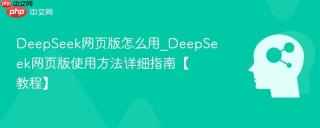 DeepSeek网页版怎么用_DeepSeek网页版使用方法详细指南【教程】
