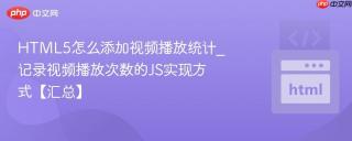HTML5怎么添加视频播放统计_记录视频播放次数的JS实现方式【汇总】