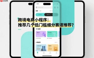 跨境电商小程序,推荐几个低门槛细分赛道?