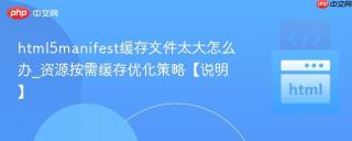 html5manifest缓存文件太大怎么办_资源按需缓存优化策略【说明】