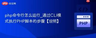 php命令行怎么运行_通过CLI模式执行PHP脚本的步骤【说明】