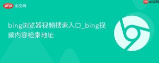 bing浏览器视频搜索入口_bing视频内容检索地址