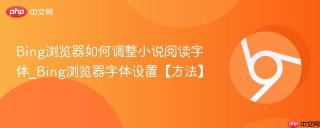 Bing浏览器如何调整小说阅读字体_Bing浏览器字体设置【方法】