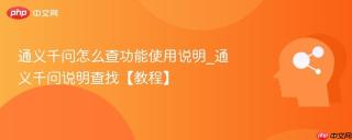 通义千问怎么查功能使用说明_通义千问说明查找【教程】