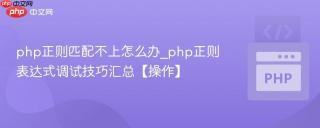 php正则匹配不上怎么办_php正则表达式调试技巧汇总【操作】