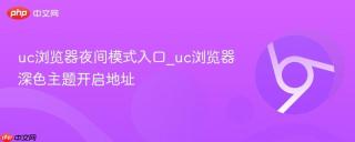uc浏览器夜间模式入口_uc浏览器深色主题开启地址