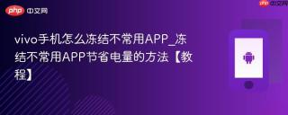 vivo手机怎么冻结不常用APP_冻结不常用APP节省电量的方法【教程】