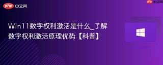 Win11数字权利激活是什么_了解数字权利激活原理优势【科普】
