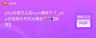 php后缀怎么变mp4播放不了_php伪视频文件无法播放原因【解答】