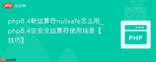 php8.4新运算符nullsafe怎么用_php8.4空安全运算符使用场景【技巧】