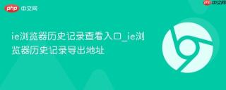 ie浏览器历史记录查看入口_ie浏览器历史记录导出地址