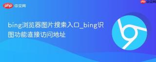 bing浏览器图片搜索入口_bing识图功能直接访问地址