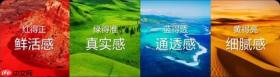 盘一盘新款RGB-MiniLed电视哪款值得买