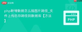 php新增数据怎么插图片路径_文件上传后存路径到数据库【方法】