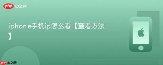 iphone手机ip怎么看【查看方法】