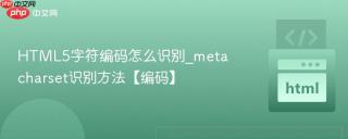 HTML5字符编码怎么识别_meta charset识别方法【编码】