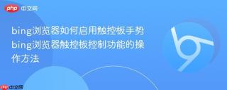 bing浏览器如何启用触控板手势 bing浏览器触控板控制功能的操作方法