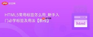 HTML5常用标签怎么用_新手入门必学标签及用法【教程】