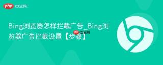Bing浏览器怎样拦截广告_Bing浏览器广告拦截设置【步骤】
